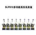 SLP系列八联平行高压反应釜